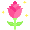 rosa icon