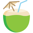 agua de coco icon