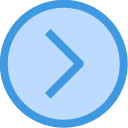 flecha correcta icon