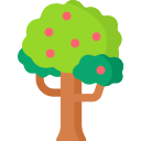 Árbol de frutas icon