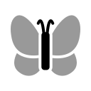 mariposa icon