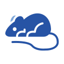 ratón icon