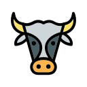 vaca icon