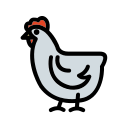 pollo icon