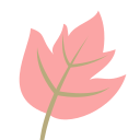 naturaleza icon