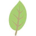 naturaleza icon