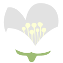 Nature icon