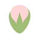 naturaleza icon