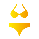 bikini icon