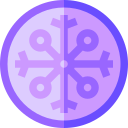 vegvisir icon