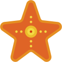 estrella de mar