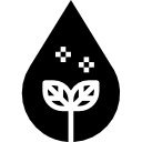 biodiesel 