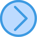 flecha correcta icon