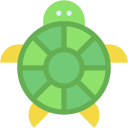 tortuga