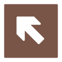 flecha icon