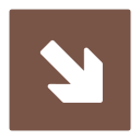 flecha icon