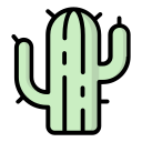 cactus icon