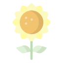 girasol icon