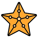 estrella de mar