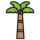 Árbol de coco icon
