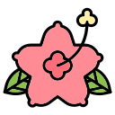hibisco icon