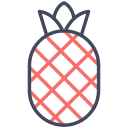 piña icon