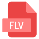 flv icon