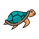 tortuga icon