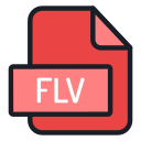 flv 