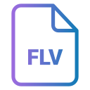 flv icon