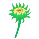 naturaleza icon