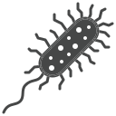 pseudomonas icon