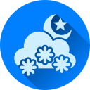 nieve icon