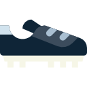 zapato icon