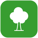 Árbol icon