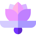 balance icon