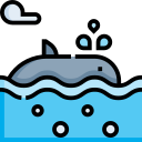 ballena icon