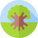 Árbol de la vida icon