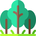 bosque icon