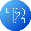 12 icon