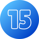 15 icon