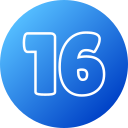 16 icon