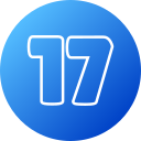 17 icon