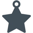 estrella icon