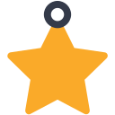 estrella icon