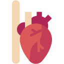 corazón icon