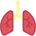 pulmones 