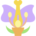 botánica icon