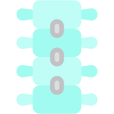 columna vertebral icon