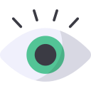 ojo icon